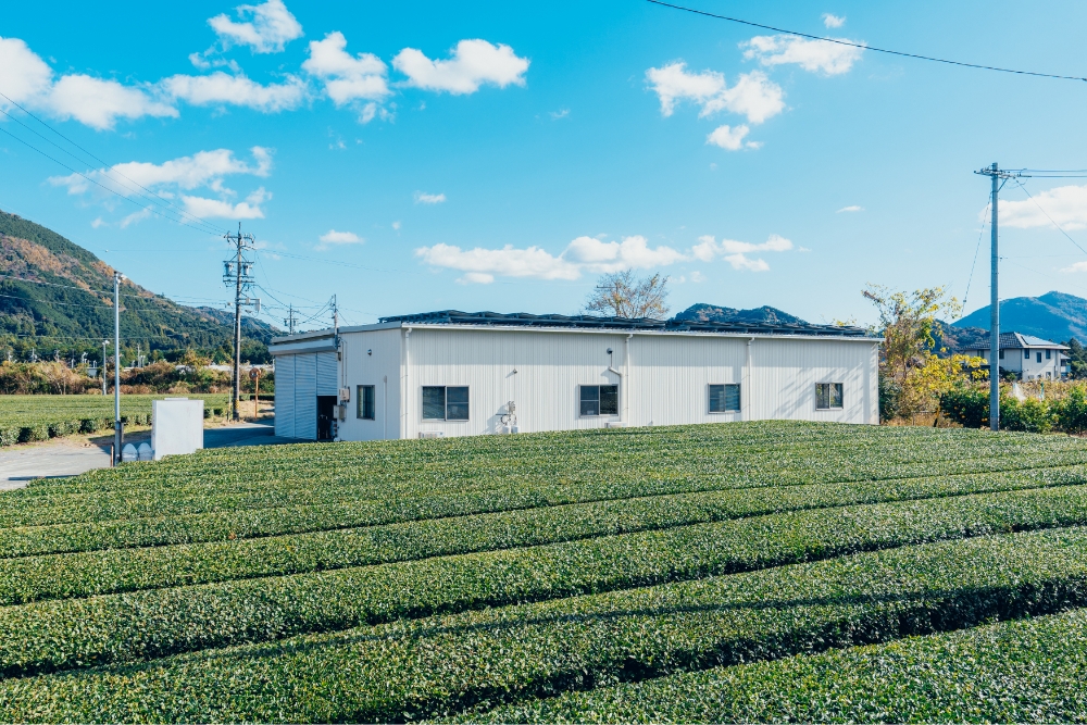 本社工場