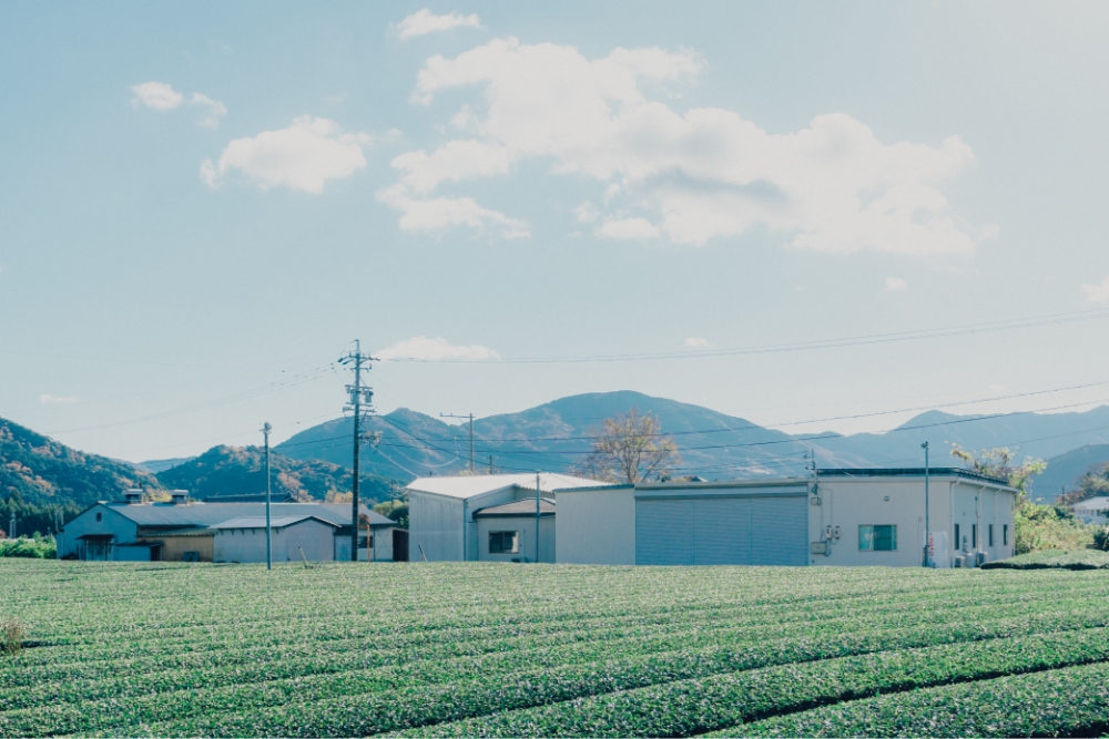 本社工場